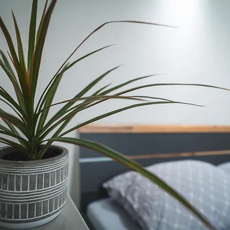 V Podzámčí * Náchod